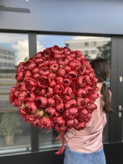 IMG_0802 (2)